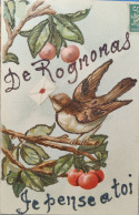 De ROGNONAS (Bouches-du-Rhône) Je Pense à Toi, Carte Gaufrée + Paillettes, Oiseau, Cerises - Précurseur Voyagé (2 Scans) - Autres & Non Classés
