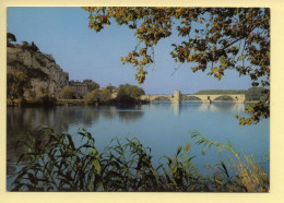84. AVIGNON -  Le Rocher Des Doms Et Le Pont Saint-Bénézet (voir Scan Recto/verso) - Avignon (Palais & Pont)