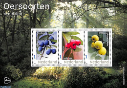Netherlands - Personal Stamps TNT/PNL 2021 Fruits 3v M/s, Mint NH, Nature - Fruit - Fruits