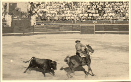 Photographie Photo Snapshot Anonyme Vintage Corrida Arènes  Taureau Picador  - Autres & Non Classés