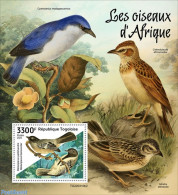 Togo 2022 African Birds, Mint NH, Nature - Birds - Togo (1960-...)