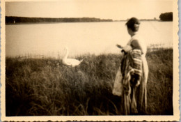 Photographie Photo Snapshot Anonyme Vintage Cygne Femme Herbe  - Autres & Non Classés