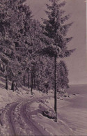 33759 - Waldrand Im Winter - Ca. 1935 - Autres & Non Classés