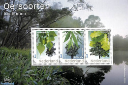 Netherlands - Personal Stamps TNT/PNL 2023 Trees 3v M/s, Mint NH, Nature - Trees & Forests - Rotary, Lions Club