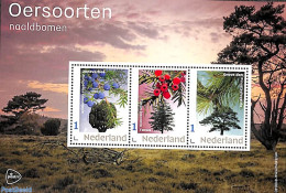 Netherlands 2023 Needle Trees 3v M/s, Mint NH, Nature - Trees & Forests - Neufs