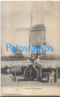 230027 BELGIUM FLAMANDE COSTUMES THE DAIRY CART A DOG POSTAL POSTCARD - Other & Unclassified