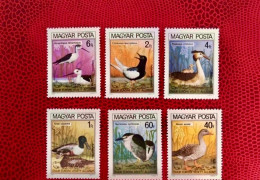 HONGRIE 1980 6v Neuf ** MNH YT 2736 / 2741 Ucello Oiseau Bird Pájaro Vogel HUNGARY UNGARN MAGYAR UNGHERIA - Cigognes & échassiers