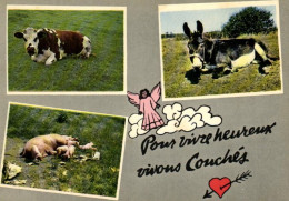 Thèmes > Animaux & Faune > Ane - Vache - Cochon - Pour Vivre Heureux, Vivons Couchéz - 9052 - Pigs