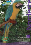 Lote PEP1710, Colombia, Postal Postcard, Antioquia, Nordeste, Guacamaya, Bird, Macaw - Colombie
