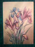 CARTE À COLLECTIONNER, FLEURS, ART : Belle Peinture D'un Bouquet De Fleurs Aux Couleurs Pastel. Nature Morte - Fleurs