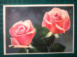 CARTE À COLLECTIONNER, FLEURS, ART : Belle Peinture D'un Bouquet De Roses, Couleurs Pastel. Nature Morte - Fleurs