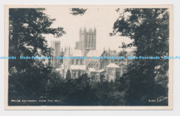 C011626 Wells Cathedral From Tor Hill. S 401. Walter Scott. RP. 1949 - World