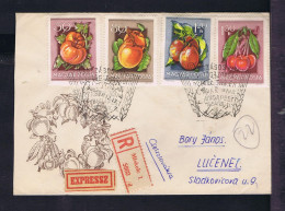 Sp10648 HUNGARY Fruits Plants Agricole Exhibition Agriculture Food Alimentation Mailed 1954 Vegetables - Fruits