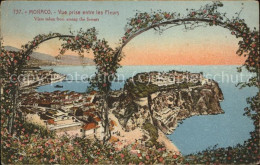 71519814 Monaco Vue Prise Entre Les Fleurs Monaco - Other & Unclassified