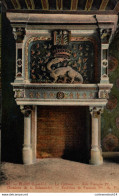 Delcampe - NÂ°16290 Z -cpa ChÃ¢teau De Blois -cheminÃ©e De La Salamandre- - Castillos