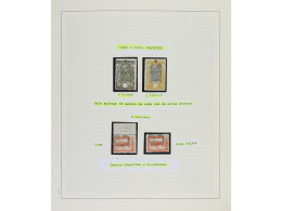LOTES Y COLECCIONES. CONGO FRANCÉS. EMISIÓN 1900-1904. Cat. Yvert 27/41. Colección Especializada Montada En 2 Tomos, De  - Other & Unclassified