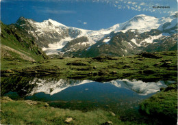 Sustenpass - Sustenhorn - Gwächtenhorn (832a) * 18. 9. 1986 - Gadmen 