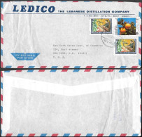 Delcampe - Lebanon Cover To USA 1980. National Art Handcraft Agriculture Oranges Stamps - Libanon