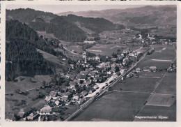 Signau BE  Vu D'avion (2110) 10x15 - Signau