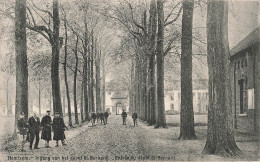 [-25%] BELGIQUE - Hemixem - Entrée Du Dépôt St Bernard - Edit. Vve Vereyscken - Allée Boisée - Animé - Carte Postale Anc - Hemiksem
