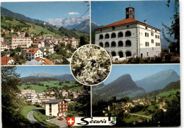 Seewis, Das Narzissendorf Im Prättigau - 5 Bilder * 9. 9. 1988 - Seewis Im Prättigau