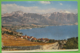 Rivaz (VD) ? -  Lavaux (Lac Léman) - Rivaz
