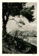 Landquart (Fläscherberg) (30/3163) - Landquart