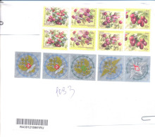 2024. Russia, The Letter Sent By Registered  Post To Moldova - Lettres & Documents