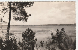 Delcampe - BISCAROSSE L'ETANG 1963 CPSM 9X14 TBE - Biscarrosse