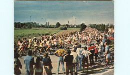 Dép 68 - Sports - Marathons - Neuf Brisach - Marathon 26 Septembre 1982 - 1er Peter Joseph - état - Neuf Brisach