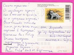 294501 / Hungary - Illustrator ? Christmas Winter House PC 2007 USED 180 Ft. Dog Chiens Kuvasz Is A Hungarian Breed - Briefe U. Dokumente