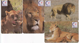 SERIE DE 4 TARJETAS DE ZAMBIA DE UNOS LEONES (LEON-LION) SINGAPORE 95 (Falsas) - Sambia