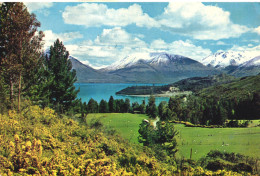 Delcampe - LAKE WAKATIPU, SOUTH ISLAND, MOUNTAIN, SHEEP, NEW ZEALAND, POSTCARD - Neuseeland