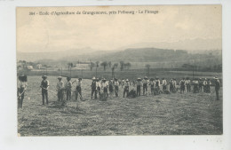 SUISSE - FRIBOURG (environs) - HAUTERIVE - ECOLE D'AGRICULTURE DE GRANGENEUVE - Le Fanage - Hauterive