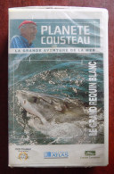 VHS Planète Cousteau : Le Grand Requin Blanc - Documentaire