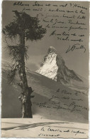 Delcampe - CPSM  Zermatt - Zermatt