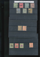 BERMUDAS. Ø 15/16, 17/23, 25/27, * 28,  88/91, 92/100 Y 101/103. - Bermuda