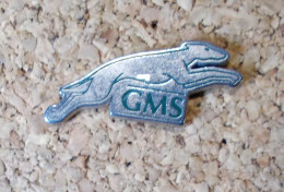 Pin's - GMS, Chien - Informatica