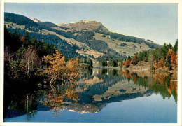 Naturschutzgebiet Chapfensee Bei Vermol Ob Mels - Mels