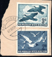 3672. 1950 3S. CORMORANS #57 WITH 2 S.MOUETTES ON FRAGMENT. - Gebraucht
