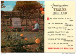 CPSM Greetings From Tralee Ireland     L2170 - Waterford