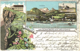 T2/T3 1903 Sankt Wolfgang Im Salzkammergut, Gruss Vom Schafberg & St. Wolfgang. Hotel Peter Vorm. Peterbräu, Aussichtstu - Unclassified