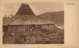** T3 Dieng Plateau, Native House (small Tear) - Unclassified
