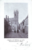 Sluis - Gezicht Op Het Stadhuis, Van Af De Meerminnestraat (1900 Animatie) - Sluis