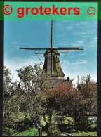 WOLVEGA Molen Vermoedelijk Windlust Aan De Zilverlaan Ca 1968 - Wolvega
