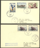 T.A.A.F.: 2 Covers Sent From Terre Adelaide To New Zealand In 1962 And 1964, VF! - Other & Unclassified