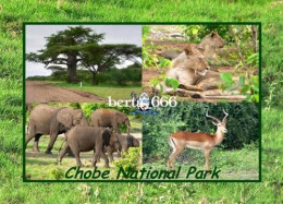 Botswana Chobe National Park Multiview New Postcard - Botswana