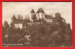 VBK-15 Burgdorf Berthoud  Das Schloss Sepia. Gelaufen 1928   Guggenheim 63 - Berthoud