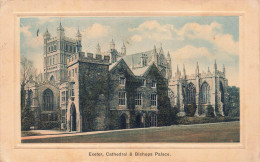 [-5%] ROYAUME UNI - Angleterre - Exeter, Cathedral  & Bishops Palace - Colorisé - Carte Postale Ancienne - Exeter