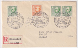 Delcampe - Sweden FDC 1941 - Michel 283-284 - FDC